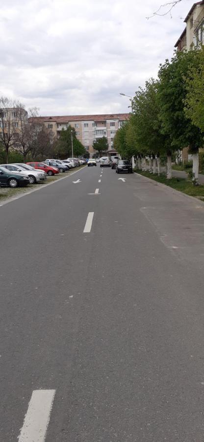 Sibiu My Home Dış mekan fotoğraf